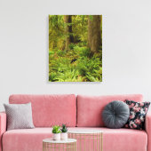 Lush Forest & Ferns | Ecola State Park, Oregon Canvas Afdruk (Insitu (Woonkamer))