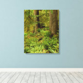 Lush Forest & Ferns | Ecola State Park, Oregon Canvas Afdruk (Insitu (Houten vloer))