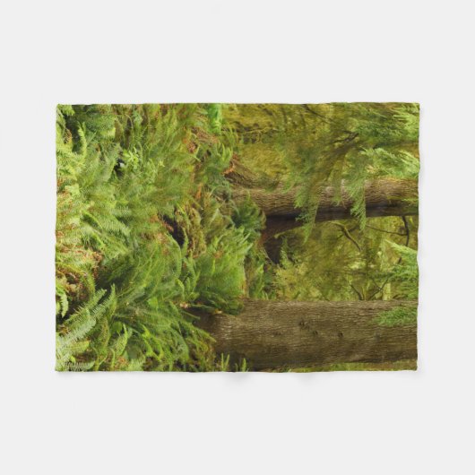 Lush Forest & Ferns | Ecola State Park, Oregon Fleece Deken (Voorkant (Horizontaal))