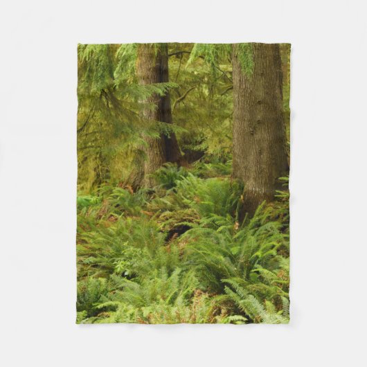 Lush Forest & Ferns | Ecola State Park, Oregon Fleece Deken (Voorkant)