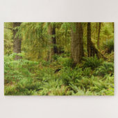 Lush Forest & Ferns | Ecola State Park, Oregon Legpuzzel (Horizontaal)