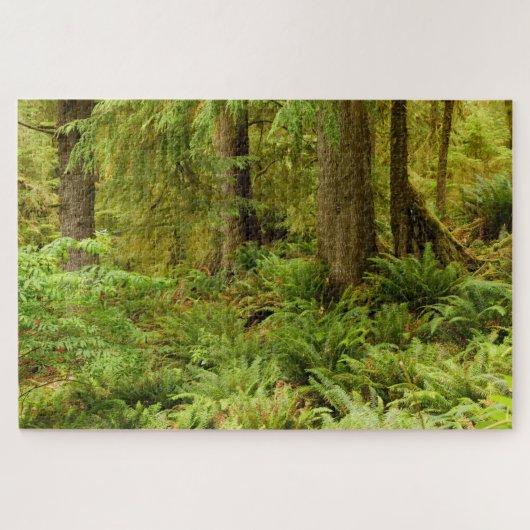 Lush Forest & Ferns | Ecola State Park, Oregon Legpuzzel (Horizontaal)