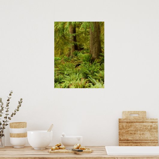 Lush Forest & Ferns | Ecola State Park, Oregon Poster (Keuken)