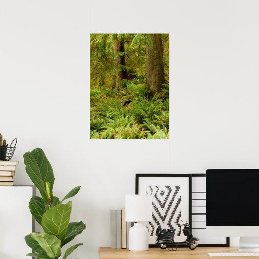 Lush Forest & Ferns | Ecola State Park, Oregon Poster (Thuiskantoor)