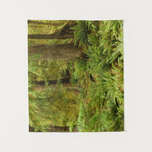 Lush Forest & Ferns | Ecola State Park, Oregon Wandkleed (Voorkant)