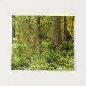 Lush Forest & Ferns | Ecola State Park, Oregon Wandkleed (Voorkant (horizontaal))