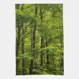 Lush Green Forest Acrylic Print Theedoek