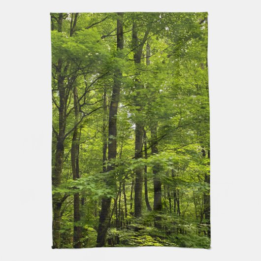Lush Green Forest Acrylic Print Theedoek (Verticaal)