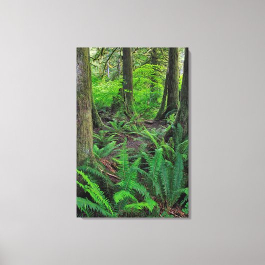 Lush Green Forest Schilderachtig Canvas Afdruk (Voorkant)