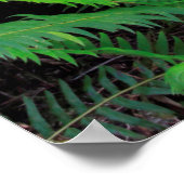 Lush Green Forest Schilderachtig Poster (Hoek)