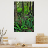 Lush Green Forest Schilderachtig Poster (Keuken)