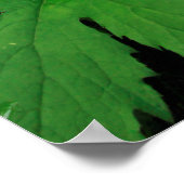 Lush Green Forest Vegetation Poster (Hoek)