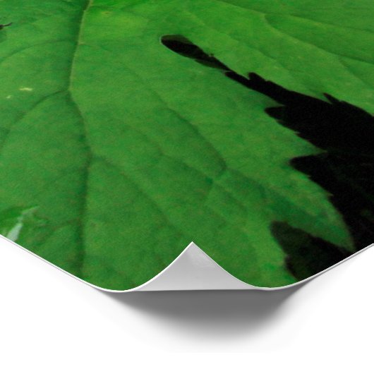 Lush Green Forest Vegetation Poster (Hoek)