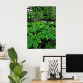 Lush Green Forest Vegetation Poster (Thuiskantoor)