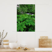 Lush Green Forest Vegetation Poster (Keuken)