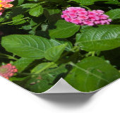 Lush Green Garden Poster (Hoek)