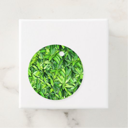 Lush Green Leaves Pattern – Natuur Botanisch Bedankjes Labels (In situ)