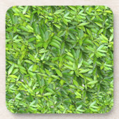 Lush Green Leaves Pattern – Natuur Botanisch Bier Onderzetter (Voorkant)