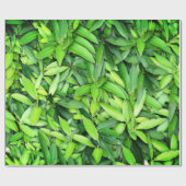Lush Green Leaves Pattern – Natuur Botanisch Cadeaupapier (Vlak)
