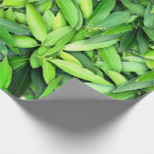 Lush Green Leaves Pattern – Natuur Botanisch Cadeaupapier (Hoek)