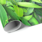 Lush Green Leaves Pattern – Natuur Botanisch Cadeaupapier (Rol Hoek)