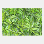 Lush Green Leaves Pattern – Natuur Botanisch Inpakpapier Vel (Voorkant 2)