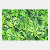 Lush Green Leaves Pattern – Natuur Botanisch Inpakpapier Vel (Voorkant)