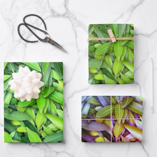 Lush Green Leaves Pattern – Natuur Botanisch Inpakpapier Vel (Voorkant)