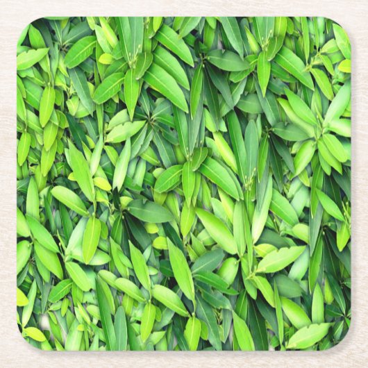 Lush Green Leaves Pattern – Natuur Botanisch Kartonnen Onderzetters (Voorkant)