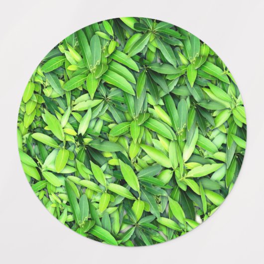 Lush Green Leaves Pattern – Natuur Botanisch Labels (Design 2)