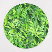 Lush Green Leaves Pattern – Natuur Botanisch Labels (Design 1)