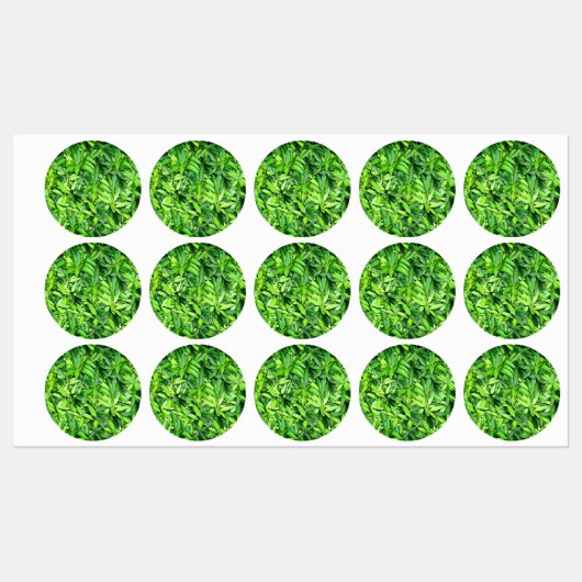 Lush Green Leaves Pattern – Natuur Botanisch Labels (Vel)