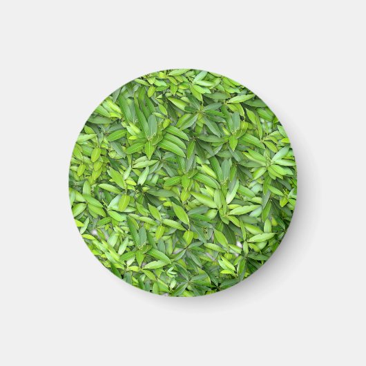 Lush Green Leaves Pattern – Natuur Botanisch Magneet (Voorkant)