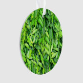 Lush Green Leaves Pattern – Natuur Botanisch Ornament (voorkant)