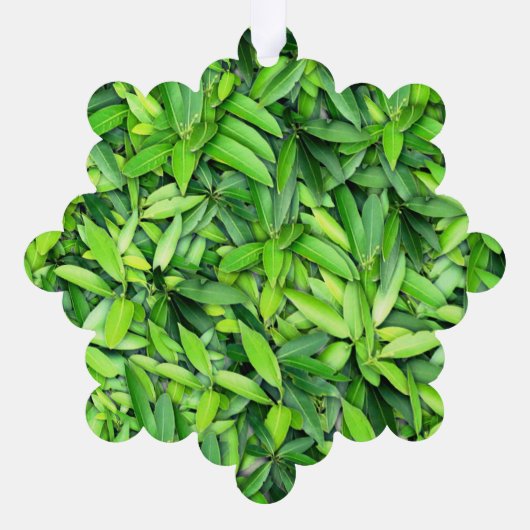 Lush Green Leaves Pattern – Natuur Botanisch Ornament Kaart (Achterkant)
