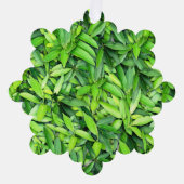 Lush Green Leaves Pattern – Natuur Botanisch Ornament Kaart (Voorkant)