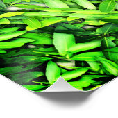 Lush Green Leaves Pattern – Natuur Botanisch Perfect Poster (Hoek)