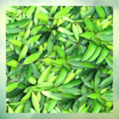 Lush Green Leaves Pattern – Natuur Botanisch Raamsticker (Vel 3)