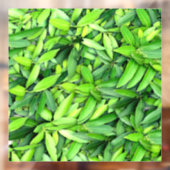 Lush Green Leaves Pattern – Natuur Botanisch Raamsticker (Vel 2)