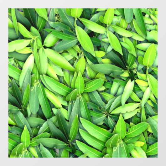Lush Green Leaves Pattern – Natuur Botanisch Raamsticker (Vel)