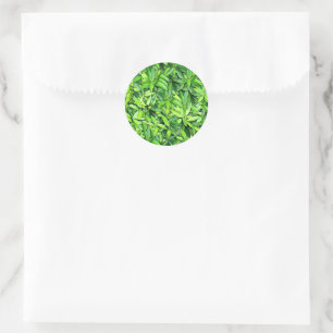 Lush Green Leaves Pattern – Natuur Botanisch Ronde Sticker