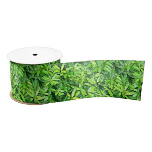 Lush Green Leaves Pattern – Natuur Botanisch Satijnen Lint