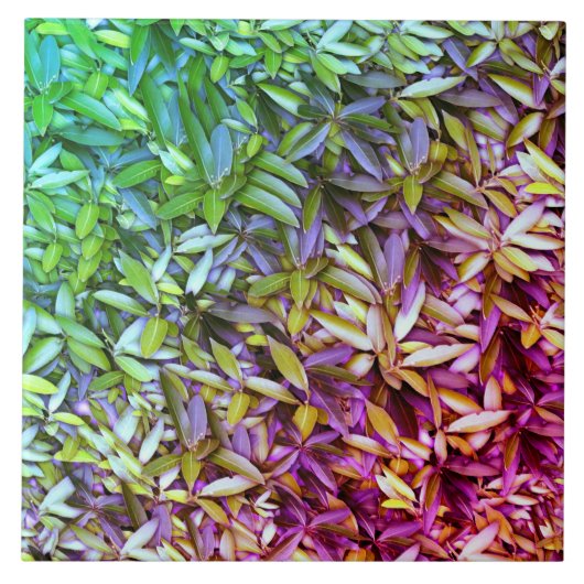 Lush Green Leaves Pattern – Natuur Botanisch Tegeltje (Voorkant)