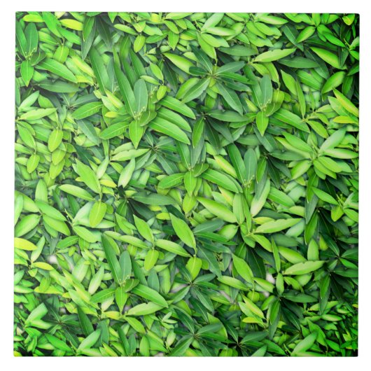 Lush Green Leaves Pattern – Natuur Botanisch Tegeltje (Voorkant)