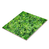 Lush Green Leaves Pattern – Natuur Botanisch Tegeltje (Zijkant)