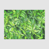 Lush Green Leaves Pattern – Natuur Botanisch Tissuepapier (Voorkant)