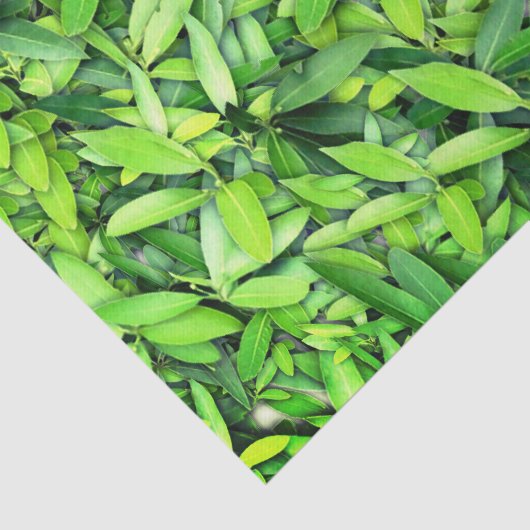 Lush Green Leaves Pattern – Natuur Botanisch Tissuepapier (Detail)