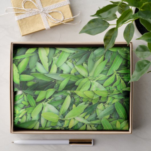 Lush Green Leaves Pattern – Natuur Botanisch Tissuepapier (Geschenk)
