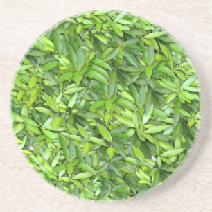 Lush Green Leaves Pattern – Natuur Botanisch Zandsteen Onderzetter