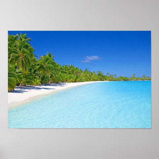 Lush Green Palm Tree Tropical Island Paradise Poster (Voorkant)